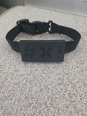 Bark Box Curse Collar for Dogs